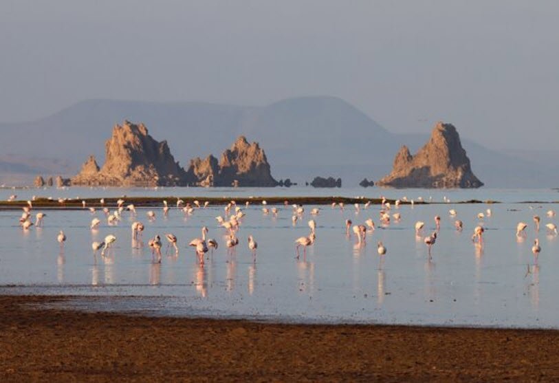 Lake Abbe, Dikhil Region (border with Ethiopia), Djibouti